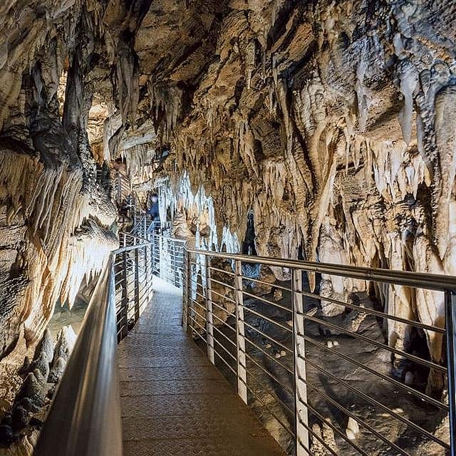 cave-reflections-2021-08-26-16-16-50-utc (1) (1) (1).jpg