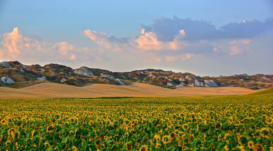 crete-senesi-asciano.jpg
