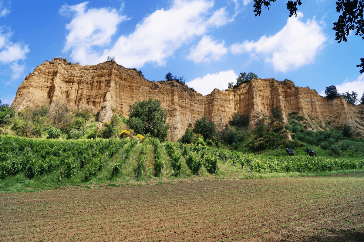 Valdarno rock formations