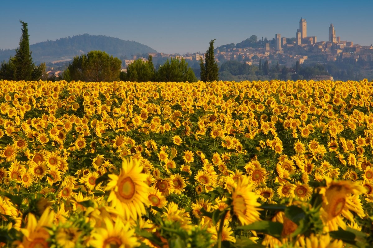 provinces (1).webp