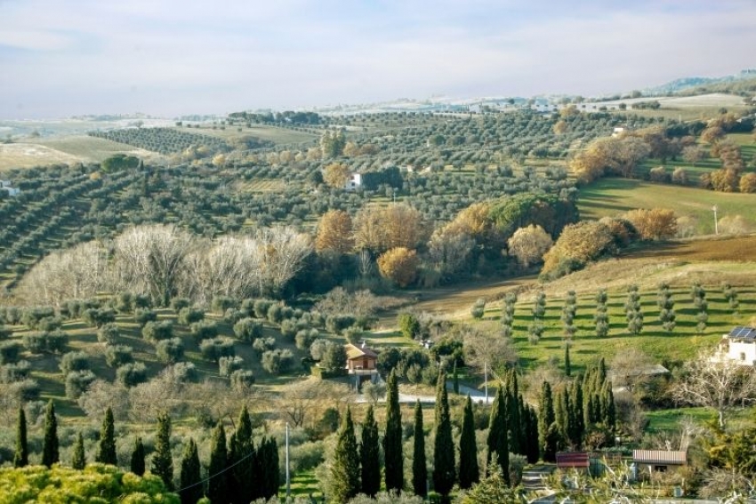 maremma-countryside (1) .jpg